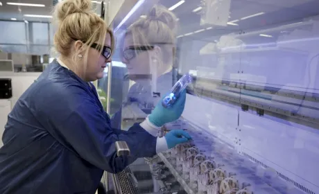 Corteva Agriscience розширює угоду з Elemental Enzimes, щоб забезпечити фермерів перевіреними інноваційними біологічними фунгіцидами