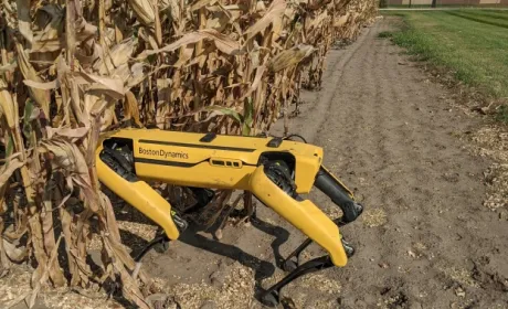 Компанія Corteva Agriscience одна з перших в світі використовує маневрених мобільних роботів для пересування між рядами посівів