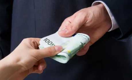 Розслідування NYT викриває корупцію в системі с/г субсидій ЄС