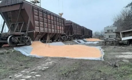 Майже в 4 рази зросли збитки через крадіжки зернових вантажів на Укрзалізниці