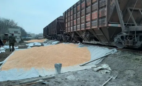 У Миколаєві затримали викрадачів 20 тонн кукурудзи