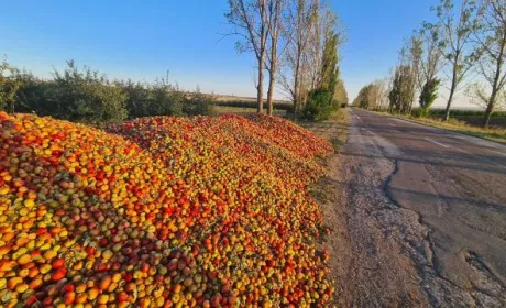 В Молдові на узбіччях доріг лежать купи яблук