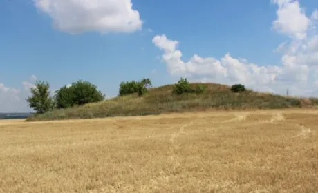 На Нікопольщині трактористу «світить» строк за пошкодження об’єктів культурної спадщини