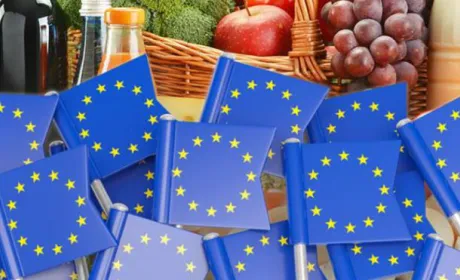 Україна вже вибрала євроквоти за п’ятьма категоріями
