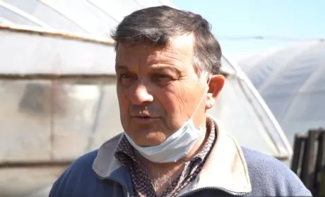 Через карантин сільське господарство на Закарпатті бореться з проблемами