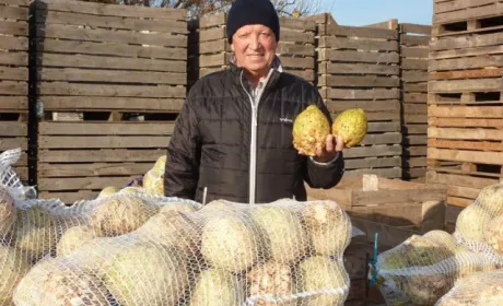 Фермер із Херсонщини проміняв картоплю на селеру