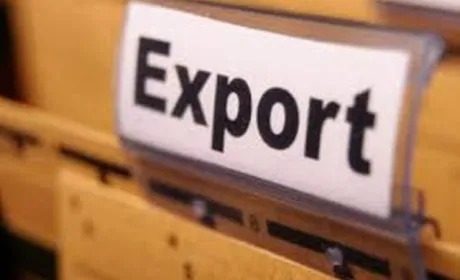 Щоб отримати ліцензію на експорт агропродукції до країн-сусідів, доведеться почекати