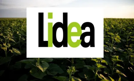 Lidea виводить на глобальний ринок два комерційні бренди: Lidea та Caussade Semences Pro