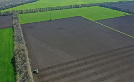 Lidea Seeds засіває та доглядає ділянки гібридизації насіння