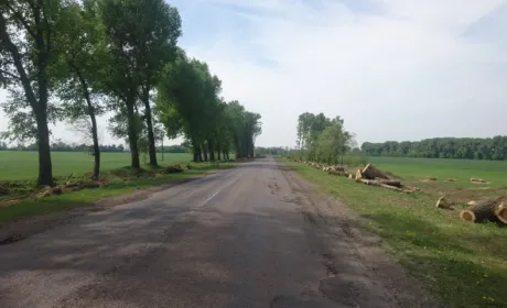 Уряд затвердив правила утримання та збереження полезахисних смуг