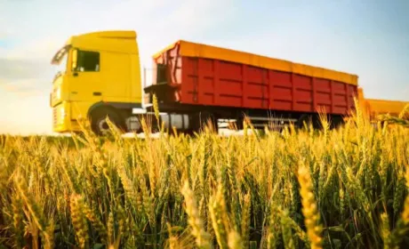 В Україні запрацює Координаційна рада з питань логістики в сільському господарстві