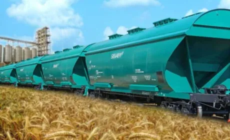 Логістика робить вирощування зерна збитковим, — Дмитро Ливч