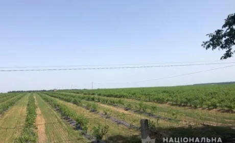 У Черкаській області фермери напали на інспекторів праці