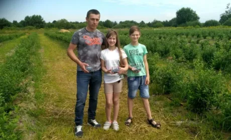 На Волині фермер збирає лохину з липня й до кінця вересня