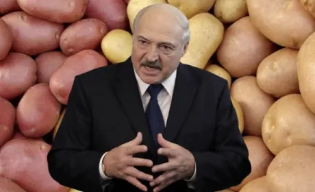 Лукашенко «годує» білорусів найдорожчою у Східній Європі картоплею