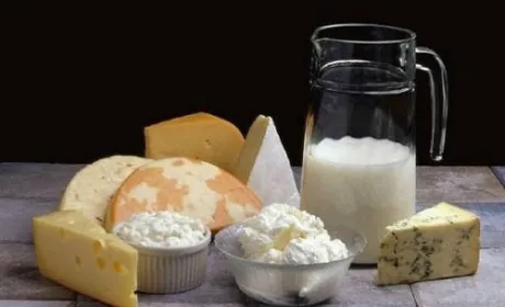 Восени ціни на молокопродукти підуть вгору