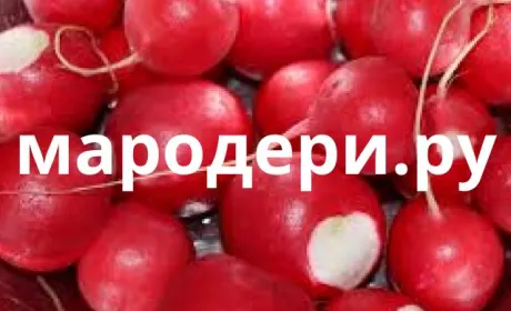 В окупованому Криму продають овочі, вкрадені у запорізьких та херсонських фермерів