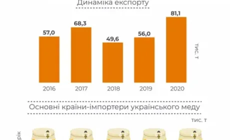 Україна побила абсолютний рекорд з експорту меду