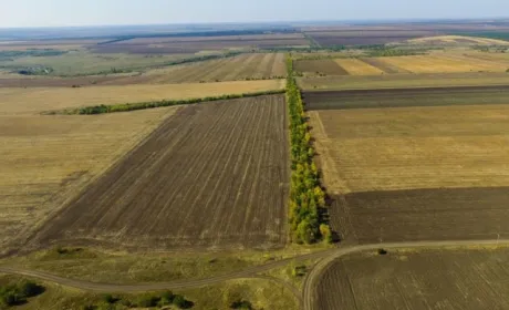 Держгеокадастр спростив вирішення суперечок щодо земельних кордонів
