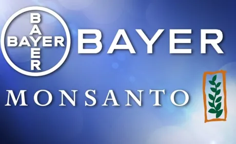 Monsanto i Bayer об’єднаються на взаємовигідних умовах