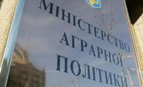 У Мінагрополітики пояснили українцям, як купити землю: три базових кроки