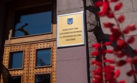 Політолог назвав підстави для звільнення аграрного міністра