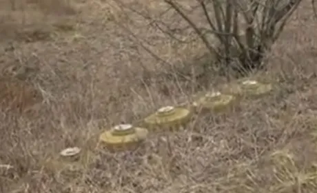 Фермери на Харківщині самостійно розміновують свої поля