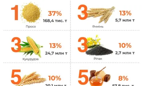 На агроекспорт припадає 40 % всієї експортної виручки України