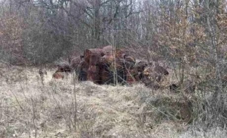 Ліквідація отрутомогильника в Джурині: на Шаргородщині покладають надії на французького експерта
