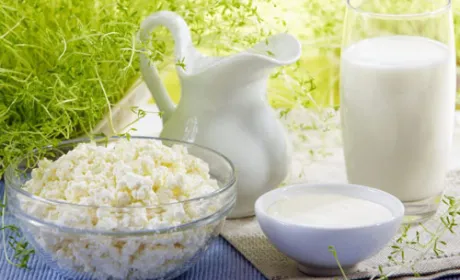 Україною скорочено виробництво експортоорієнтованих молокопродуктів