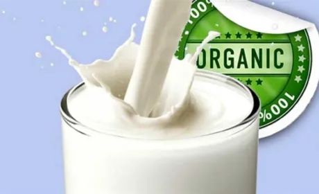 Експерти назвали найпопулярніші в Україні органічні продукти