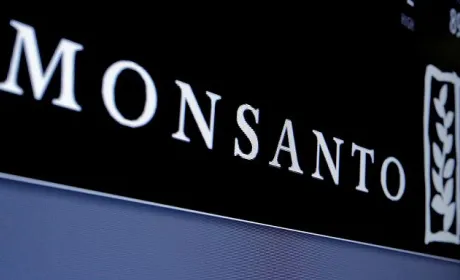 Monsanto купує в Україні насіннєвий завод кукурудзи "Ерідона"