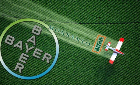 У Німеччині сумніваються в доцільності злиття Monsanto з Bayer