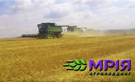 У "Мрії" розчаровані врожаєм-2016. Підвели озимий ріпак, соя та кукурудза