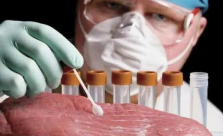 Леонардо Ді Капріо інвестував у стартапи Mosa Meat і Aleph Farms зі штучного вирощування м'яса