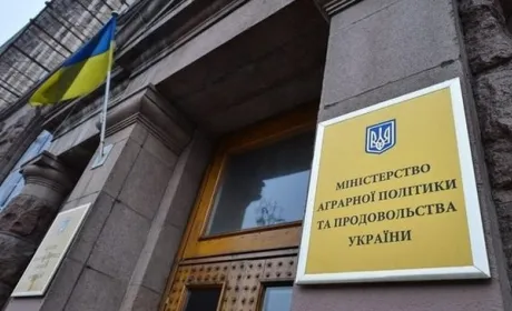 «Реінкарнація» Мінагрополітики: бути чи не бути?