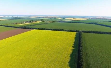 Справа є – землі немає. НАБУ шукає землі, в захопленні яких звинувачують ексміністра Миколу Сольського