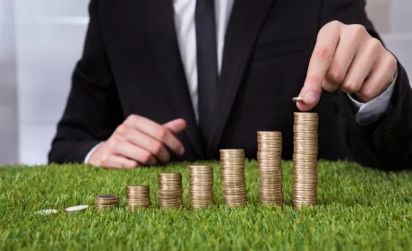 Місцеві бюджети Прикарпаття отримали 314 млн грн земельного податку