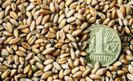 Податки по спецрежиму ПДВ: скільки отримав Держбюджет?