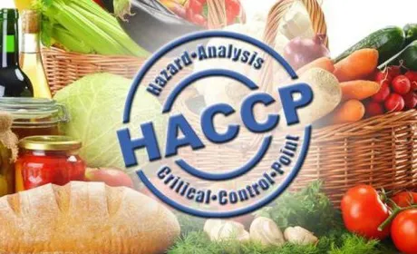 Експертка розповіла про проблеми впровадження системи НАССР в Україні