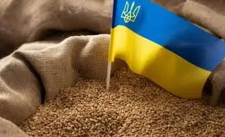 НАТО та Україна обговорять питання експорту української агропродукції