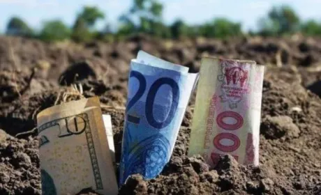 У січні найдорожча земля була в Івано-Франківській області