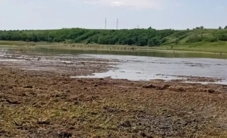 Зруйнована дамба та затоплені поля — наслідки негоди на Харківщині