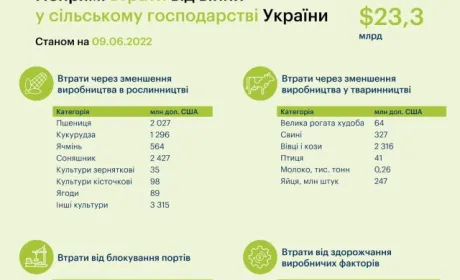 Внаслідок російського вторгнення сільгоспвиробники недоотримали $23,3 млрд