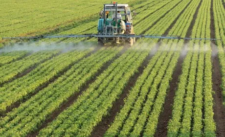 В поточному році застосування аграріями ЗЗР скоротилось на 20%