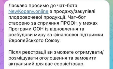 Створено чат-бот, який замінить ринок в Великих Копанях