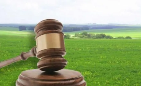 Дослідне господарство НААН незаконно здавало в оренду 3725 га землі, призначеної для наукової діяльності