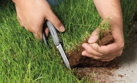 На Одещині двоє чоловіків незаконно засіяли 20 га чужої землі