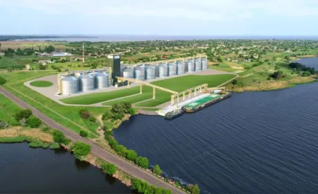 «Нібулон» завершує збирання пізніх зернових культур