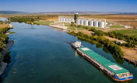 «Нібулон» збільшив площу під озимими на 10%